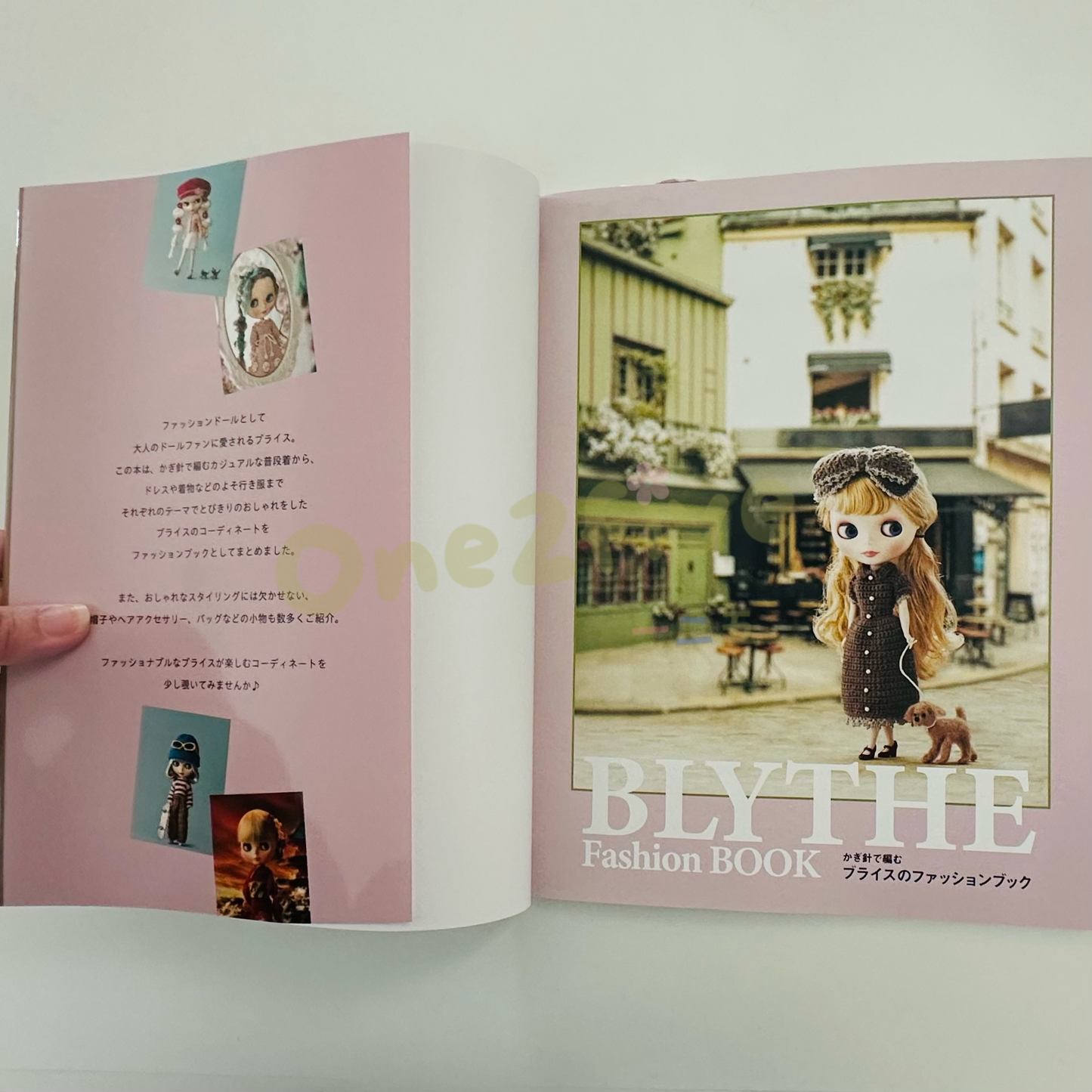 編織書 Blythe Fashion book - 減減減