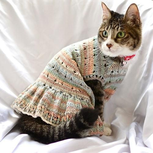 日本寵物編織材料包 -  小猫小狗荷葉邊毛衣