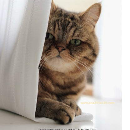 貓咪寅次郎 - 鈎針編織小物