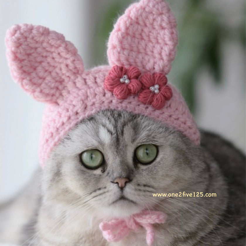 貓咪寅次郎 - 鈎針編織小物